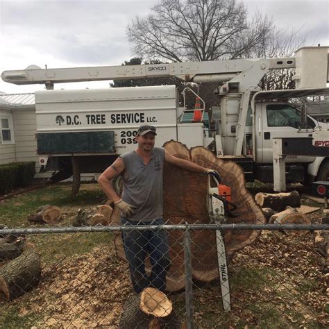 dc tree service south point oh